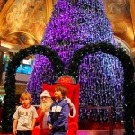 christmas celebrations in Rio de Janeiro, Brazil | PinChristmas.com