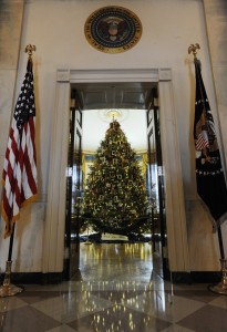 white house christmas tree