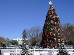 christmas tree in town