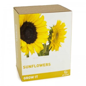 Grow it – Sunflowers