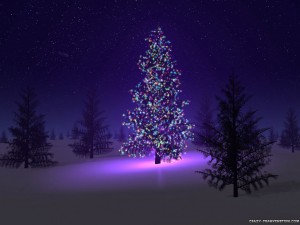 highlighted christmas tree