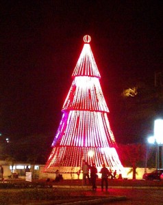 christmas tree in night light