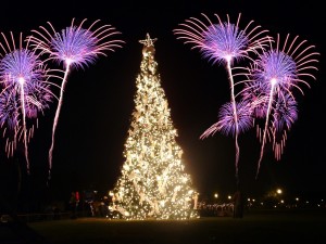 A fantastic Professional Fireworks display for Christmas