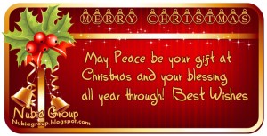 Merry Christmas & Best Wishes