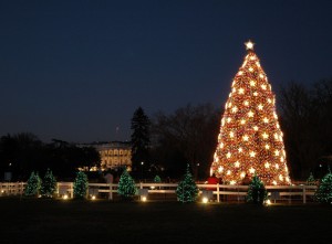 night light christmas tree