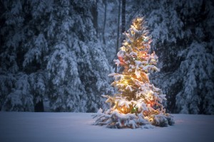 christmas tree in ice