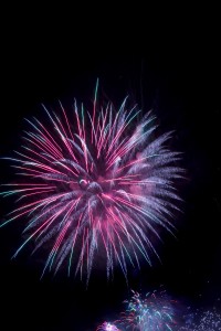 firework burst purple