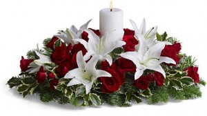 flowers for christmas