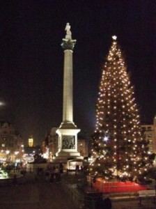 The Trafalgar Square Christmas tree,