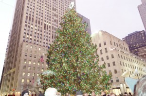 christmas tree in town