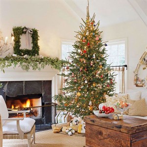Christmas Tree, Lighting Decorating