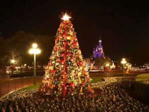 Disneyland Christmas