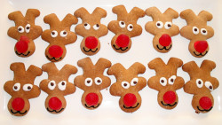 Reindeer Cookies – These are ACTUALLY upside down gingerbread men that we turned into reindeer. We just used icing and a raspberry for the nose.  

See more at www.PinXmas.net