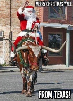 Merry Christmas from Texas