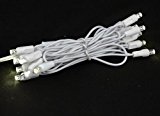 Novelty Lights, Inc. TWIWA20 Commercial Grade Twinkling LED Christmas and Craft Mini Light Set, Non-Connectable (Male Plug Only), Random Twinkle, Warm White, White Wire, 20 Light, 7′ Long