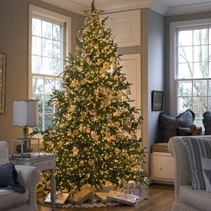 Christmas Tree Decorating Ideas