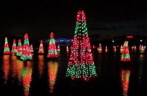 Sea of Trees lights up Christmas at SeaWorld …