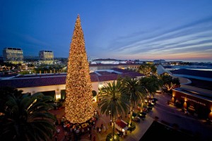 ·Celebrate the holiday season at Fashion Island at our Annual Tree