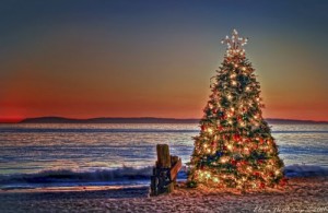 Christmas Tree Sunset at Crystal Cove State Park, Newport Beach .
