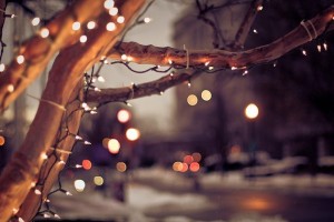 beautiful, bohek, christmas, lights,