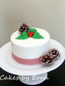 Celebrate Christmas with this beautiful Christmas Cake