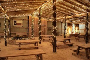 | Christmas Party Theme Ideas