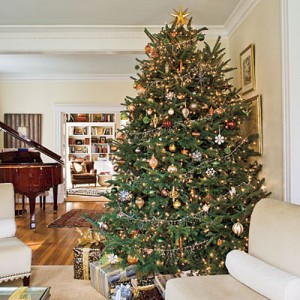 Christmas Tree Decorating Ideas