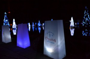 SeaWorld’s Christmas Celebration to return this holiday season …