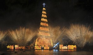 Christmas Tree in Rio de Janeiro