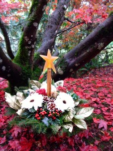 Mary Clark Flowers: Christmas Flowers