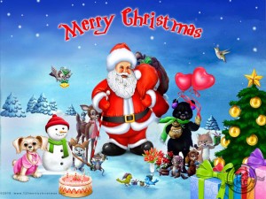 Merry Christmas With Santa Clause