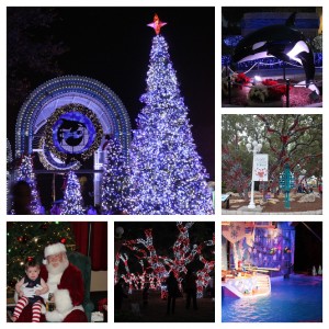 A SeaWorld Christmas