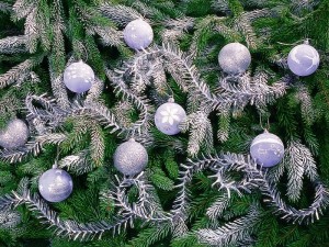 Christmas Baubles on Decorated Christmas Trees